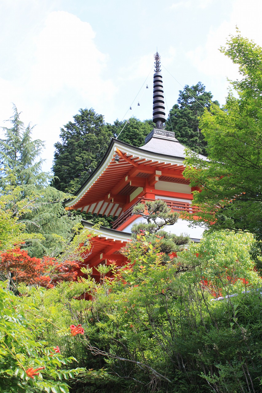 アジサイ寺とヒマワリ畑のドライブ 津山 岡山県 の旅行記 ブログ By 旅好き長さんさん フォートラベル