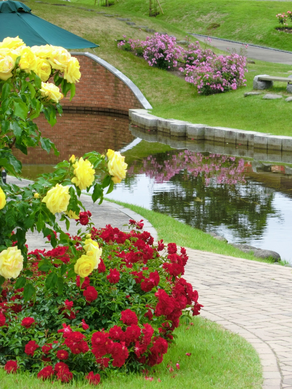 6月の薔薇 村山市 東沢バラ園 を散策 村山 河北 山形県 の旅行記 ブログ By 夢自 さん フォートラベル 6月の薔薇 村山市 東沢バラ園 を散策 村山 河北 山形県 の旅行記 ブログ By 夢自 さん フォートラベル