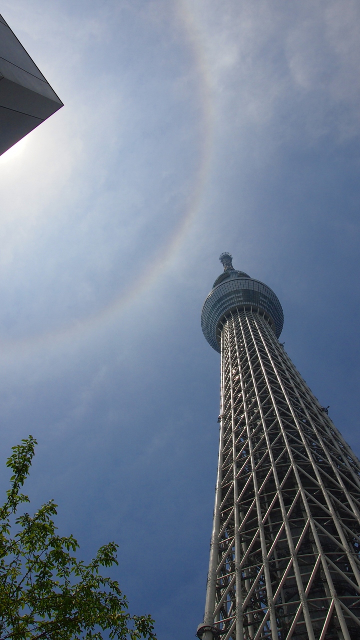 天空の奇跡 東京せかいツリーと虹のリング 東京スカイツリー 登頂記 浅草 東京 の旅行記 ブログ By Momotaさん フォートラベル