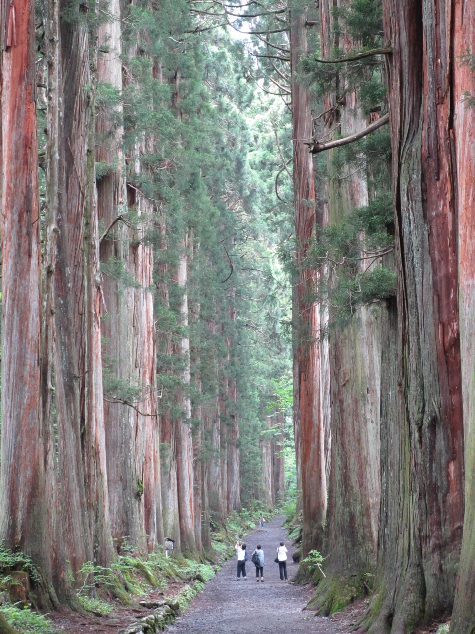 戸隠で杉並木やお蕎麦に感動 信州旅行1日目 戸隠 鬼無里 長野県 の旅行記 ブログ By アーヴィングさん フォートラベル 戸隠で杉並木やお蕎麦に感動 信州旅行1日目 戸隠 鬼無里 長野県 の旅行記 ブログ By アーヴィングさん フォートラベル