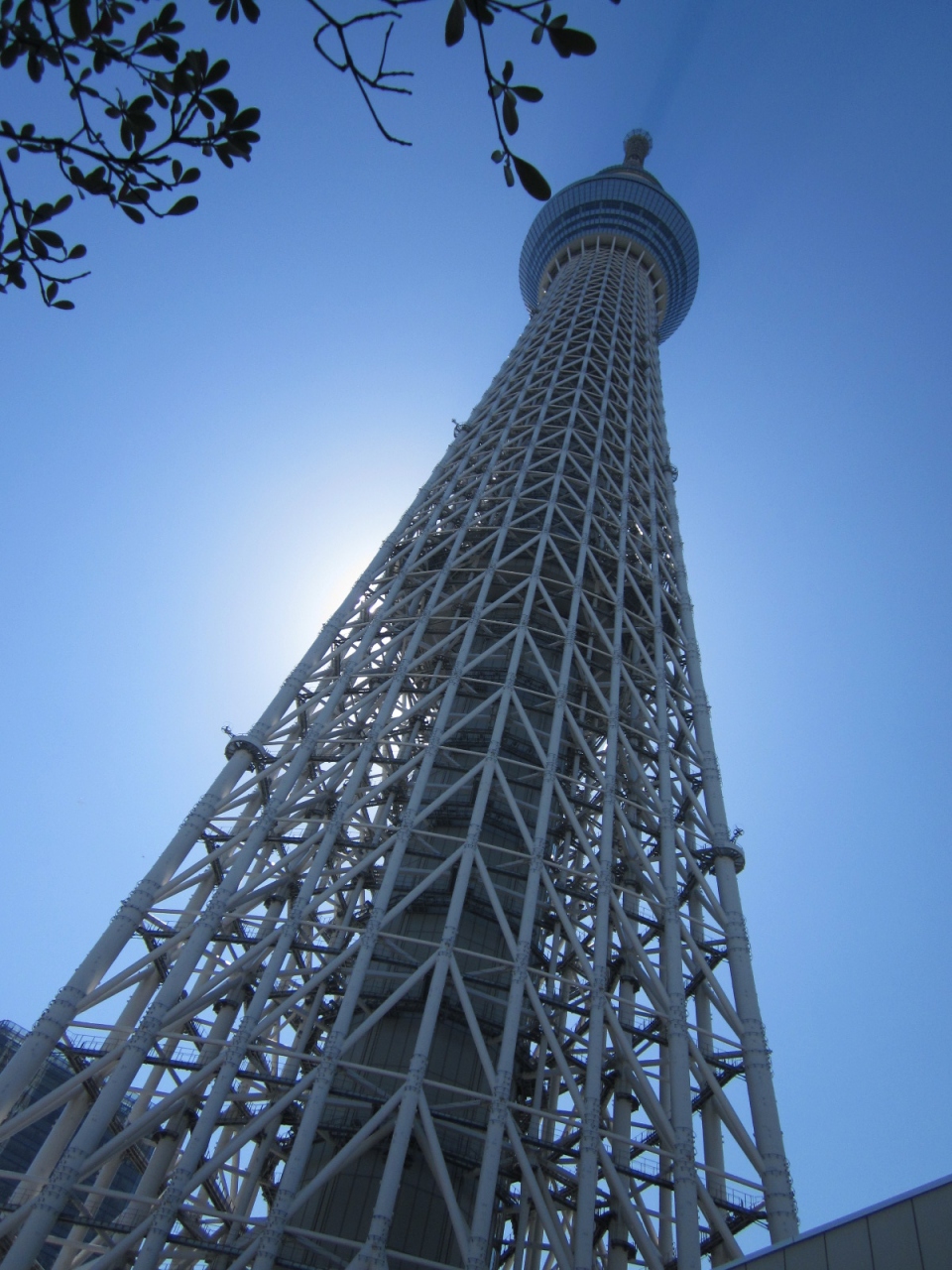スヌ君もいた スカイツリーとベイエリア 浅草 東京 の旅行記 ブログ By らぼさん フォートラベル スヌ君もいた スカイツリーとベイエリア 浅草 東京 の旅行記 ブログ By らぼさん フォートラベル