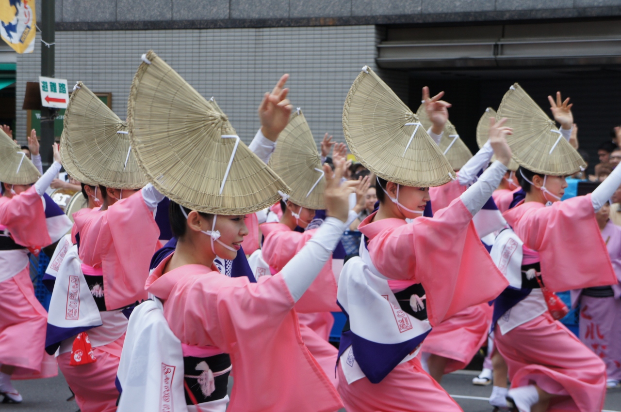 第55回東京高円寺阿波おどり ~迫力の踊りは本場の雰囲気がそのままです