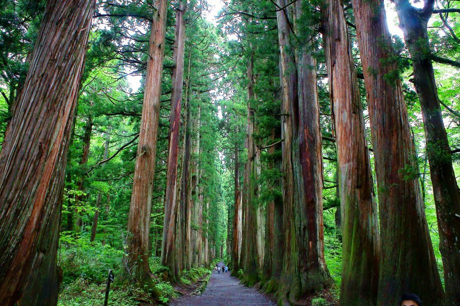蓼科の別荘から戸隠 善光寺 草津温泉へ 戸隠 鬼無里 長野県 の旅行記 ブログ By 加藤さん フォートラベル