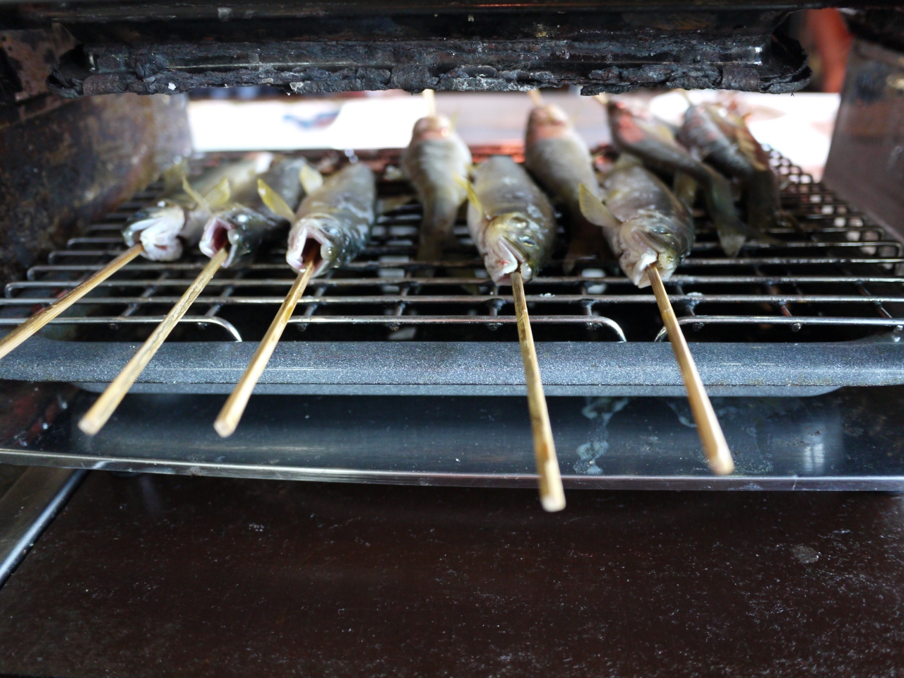 大阪の友達と鮎料理を食べに長浜へ 長浜 滋賀県 の旅行記 ブログ By おさえんこさん フォートラベル