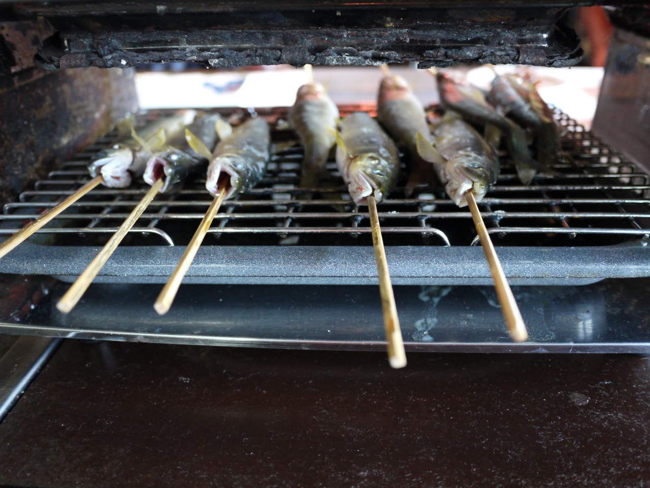 大阪の友達と鮎料理を食べに長浜へ 長浜 滋賀県 の旅行記 ブログ By おさえんこさん フォートラベル 大阪の友達と鮎料理を食べに長浜へ 長浜 滋賀県 の旅行記 ブログ By おさえんこさん フォートラベル
