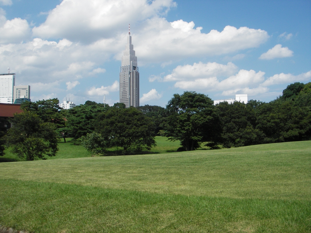 明治神宮を お散歩 森林浴 原宿 東京 の旅行記 ブログ By 水張月さん フォートラベル
