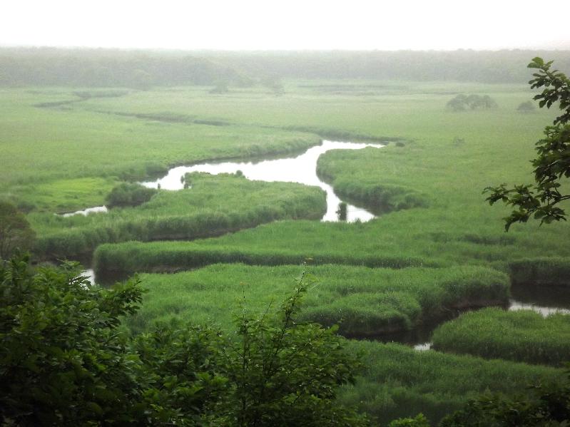 釧路湿原キラコタン岬 春そして夏 プチオフ会 鶴居 標茶 北海道 の旅行記 ブログ By ツーリスト今中さん フォートラベル