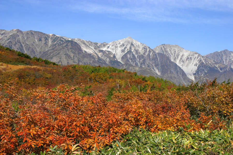 白馬で一足早い紅葉を 八方尾根 岩岳 長野県 の旅行記 ブログ By かずおさん フォートラベル 白馬で一足早い紅葉を 八方尾根 岩岳 長野県 の旅行記 ブログ By かずおさん フォートラベル