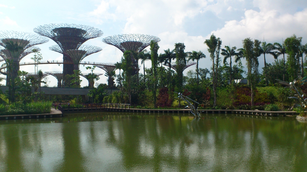ガーデンズバイザベイを楽しむ シンガポール シンガポール の旅行記 ブログ By Gomachaさん フォートラベル