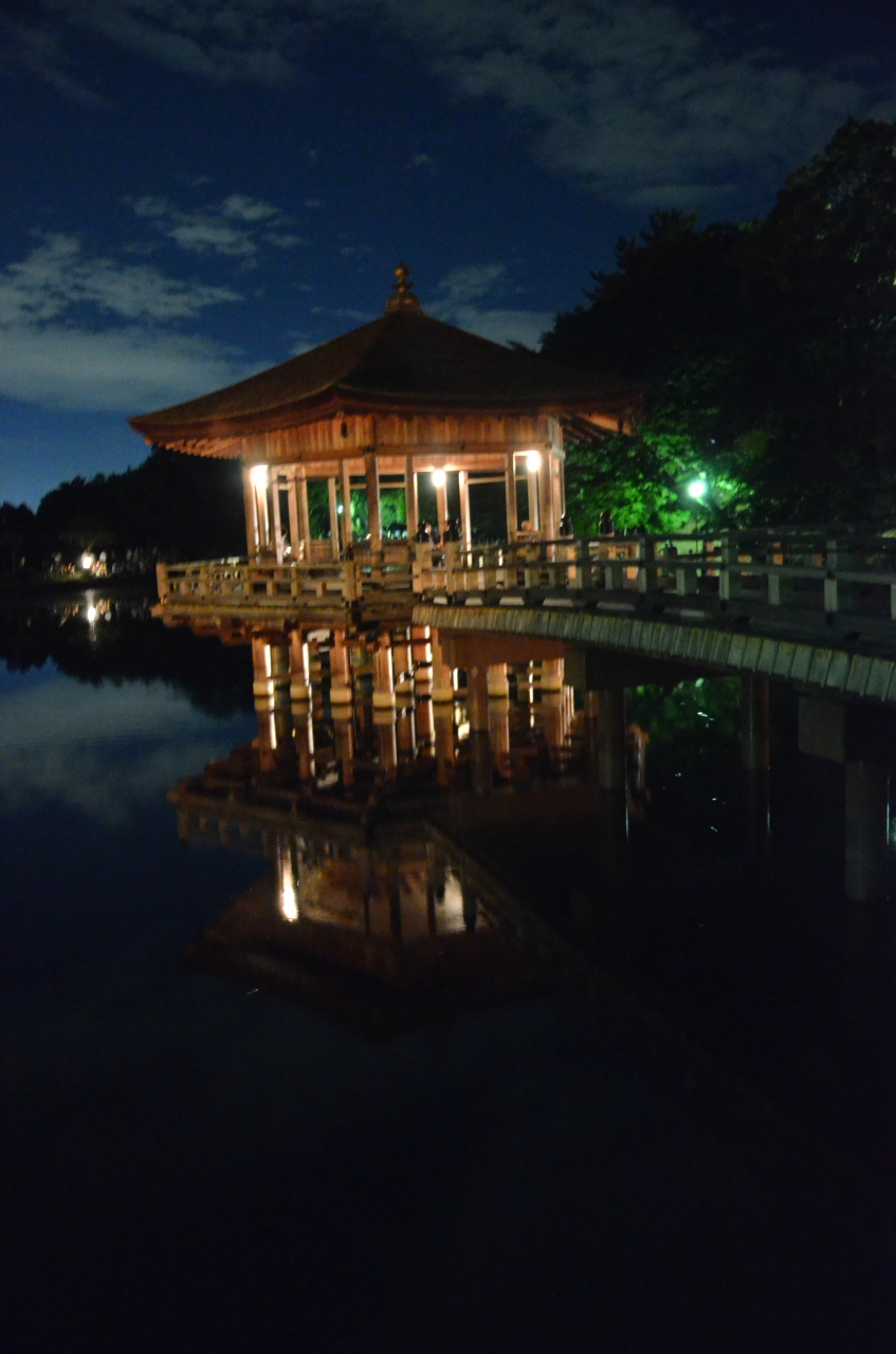 みにくまさんがやってきた 高円山の大文字送り火と東大寺万燈供養 撮影会 In Nara 奈良市 奈良県 の旅行記 ブログ By 大目付さん フォートラベル みにくまさんがやってきた 高円山の大文字送り火と東大寺万燈供養 撮影会 In Nara 奈良市 奈良県 の旅行記 ブログ By 大目付さん フォートラベル