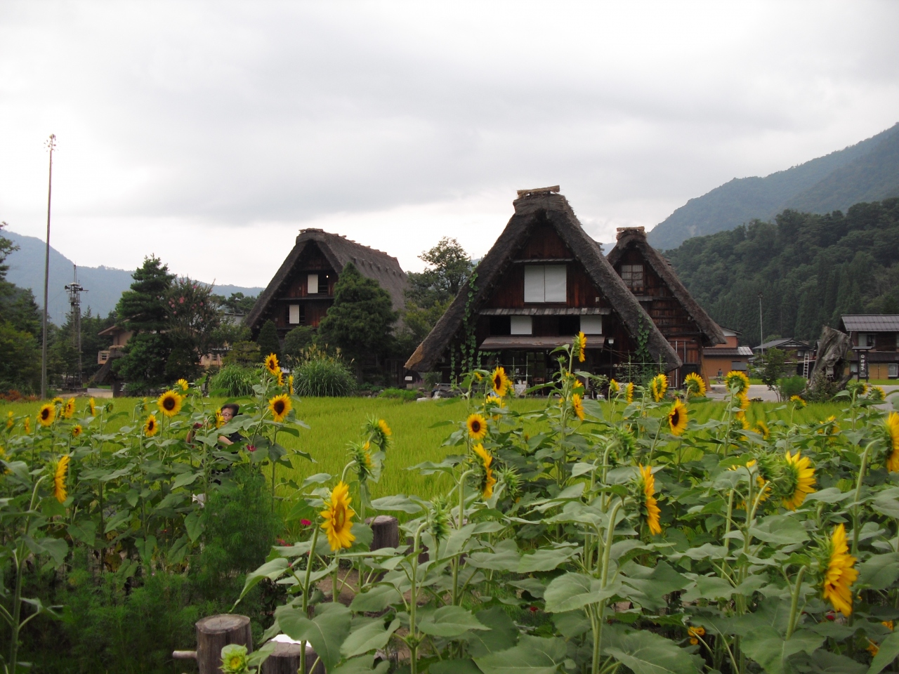 飛騨高山と白川郷 岐阜県の旅行記 ブログ By ぽむさん フォートラベル