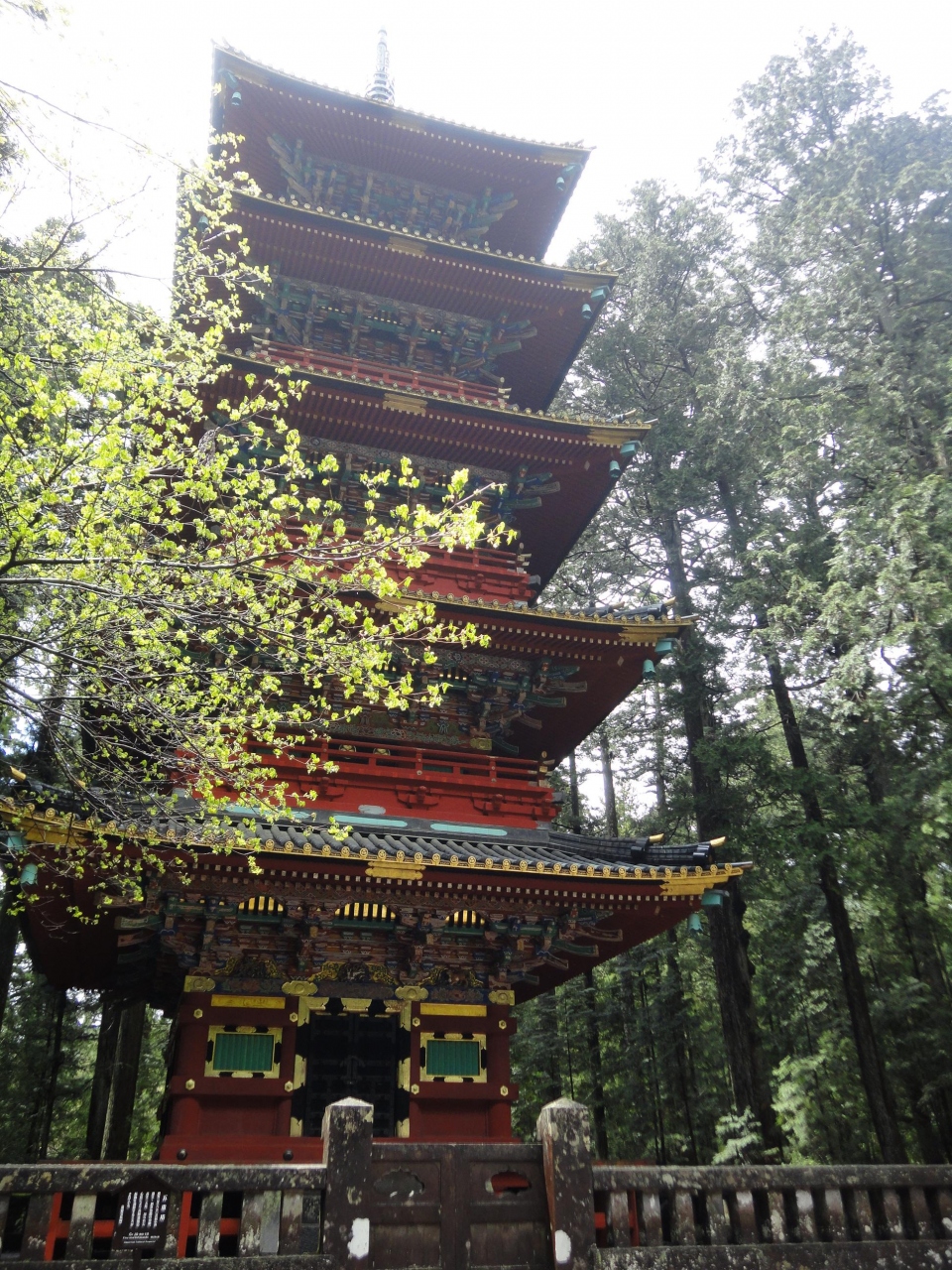 栃木 Gwの鬼怒川 日光旅行 いちご狩り 鬼怒川温泉 日光 宇都宮餃子etc 12 5 2 5 4 日光 栃木県 の旅行記 ブログ By ゆあ さん フォートラベル 栃木 Gwの鬼怒川 日光旅行 いちご狩り 鬼怒川温泉 日光 宇都宮餃子etc 12 5 2 5 4 日光 栃木県 の旅行記 ブログ By ゆあ さん フォートラベル