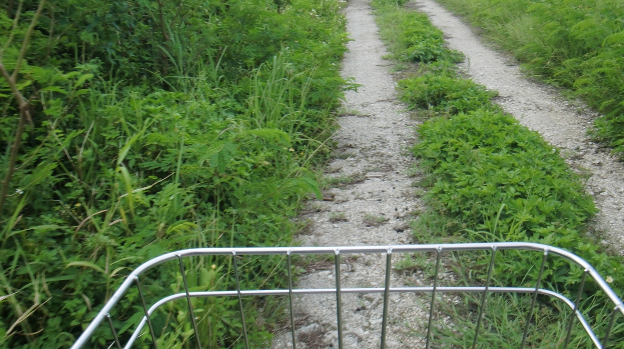 12年08月21日 火 ｹﾞｽﾄﾊｳｽたけとみのママチャリで竹富島をポタリング 写真アップロード完了 竹富島 沖縄県 の旅行記 ブログ By Terikara Pota てりからぽた テリカラポタ Terikara 3テリカラさんさん フォートラベル
