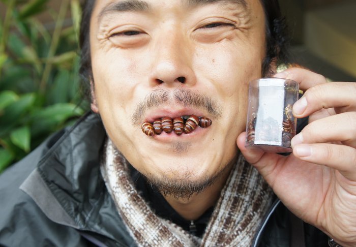 コロンビアのバイアグラ 蟻を食いまくれ 世界の珍味 その他の都市 コロンビア の旅行記 ブログ By Taiさん フォートラベル