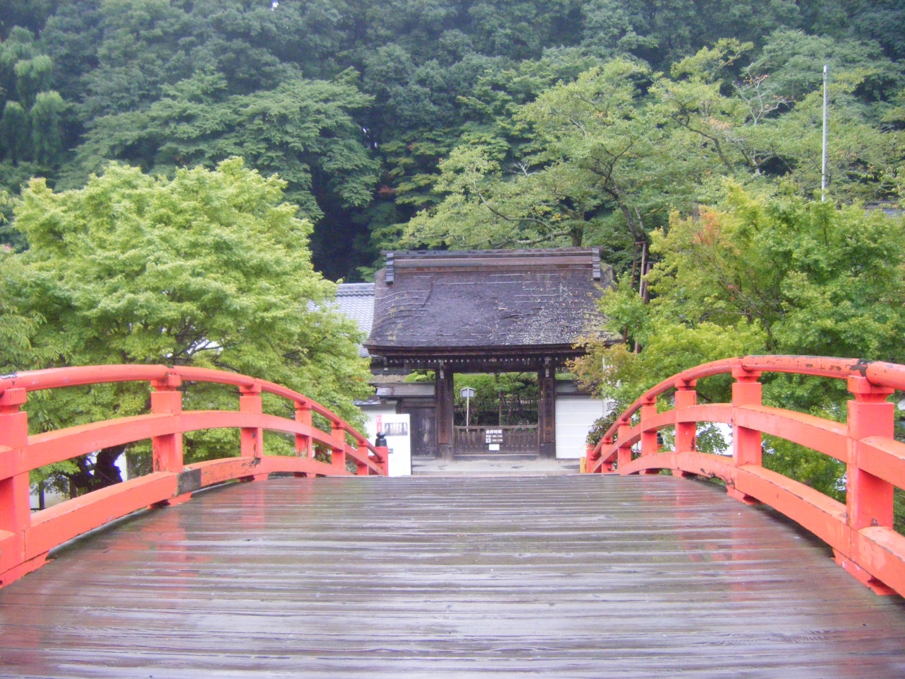 初 ひとり旅 奈良 1日目 奈良市 奈良県 の旅行記 ブログ By Sakuさん フォートラベル
