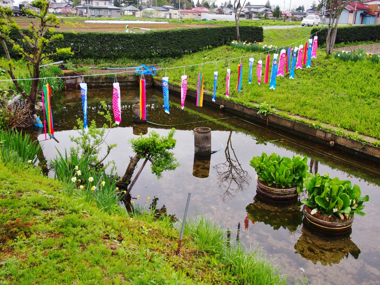 秋田 六郷湧水群 横手 秋田県 の旅行記 ブログ By さくらampanさん フォートラベル 秋田 六郷湧水群 横手 秋田県 の旅行記 ブログ By さくらampanさん フォートラベル