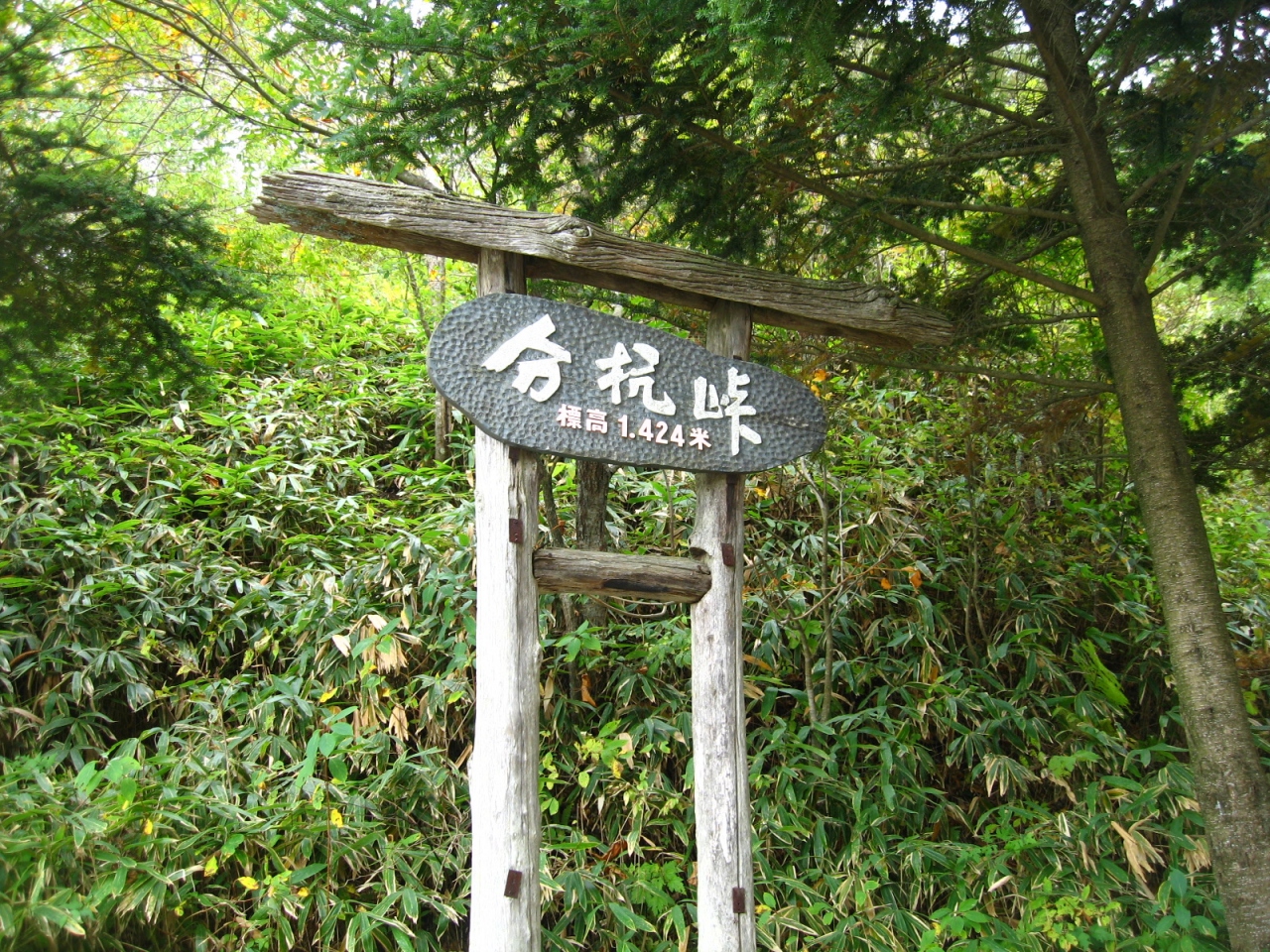 磁場 は ゼロ と