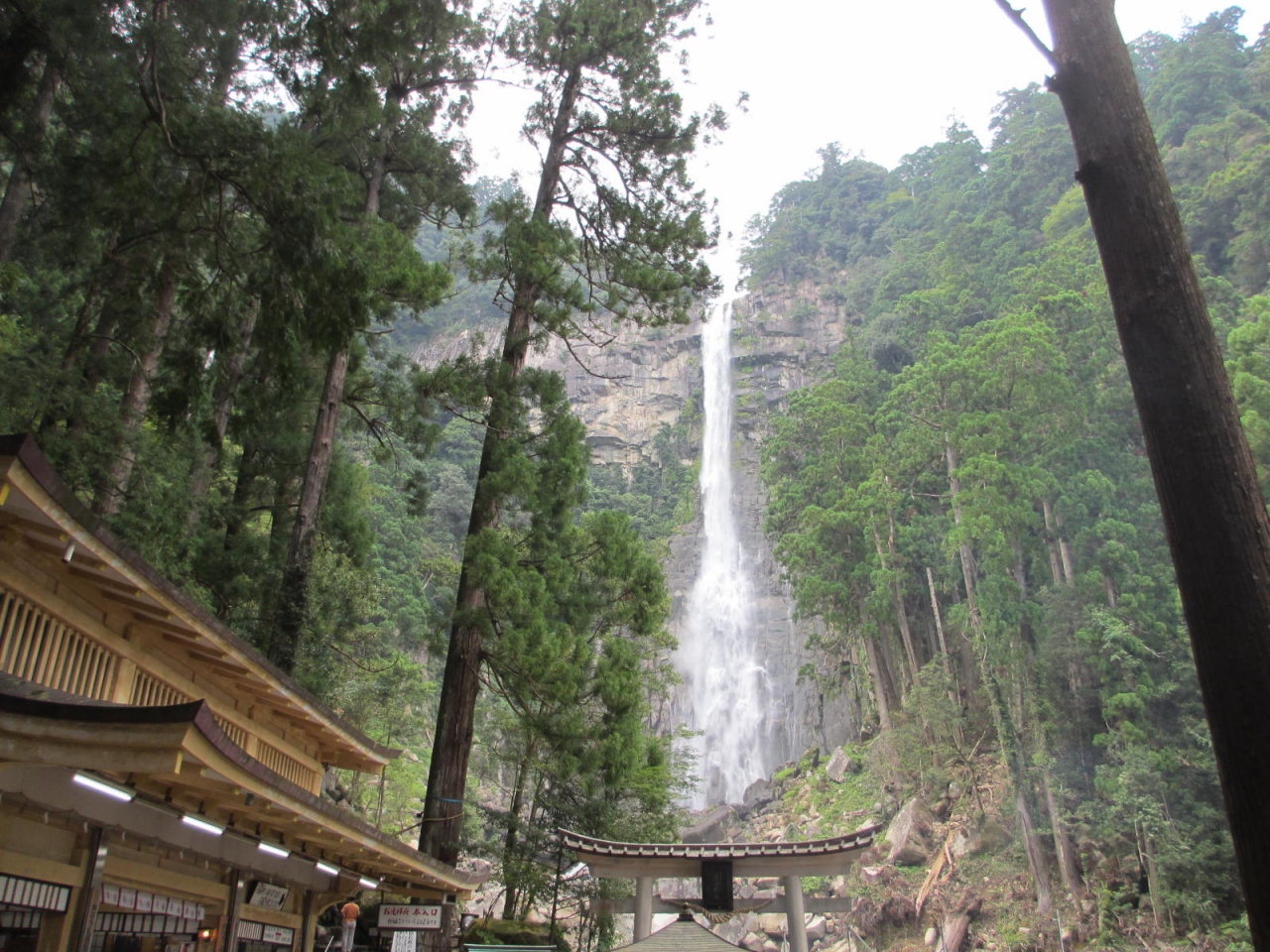 紀伊半島の秘境大縦断 修行の旅 その３ 那智勝浦 太地 和歌山県 の旅行記 ブログ By Okahonさん フォートラベル