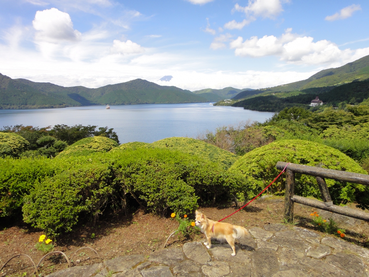 犬たちと箱根へドライブ 元箱根 芦ノ湖周辺 神奈川県 の旅行記 ブログ By 久太郎さん フォートラベル 犬たちと箱根へドライブ 元箱根 芦ノ湖周辺 神奈川県 の旅行記 ブログ By 久太郎さん フォートラベル