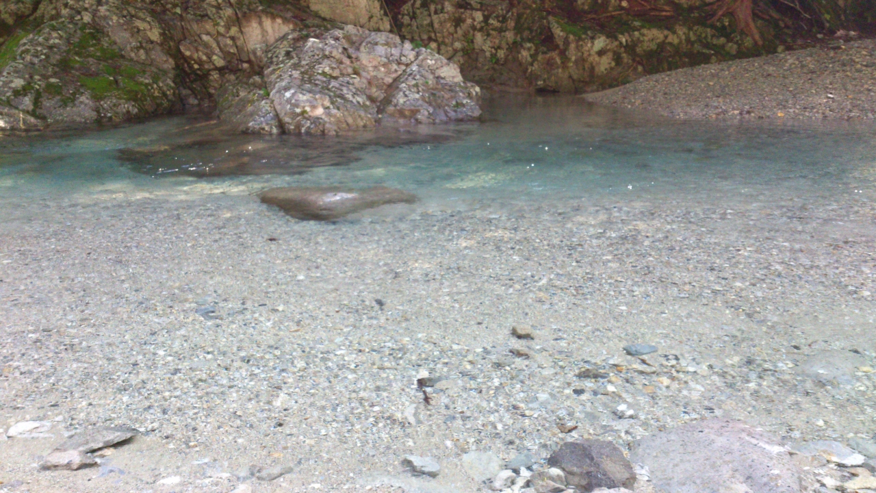 12年9月 ワンコと行く晩夏の川遊び 栃木 鹿沼 栃木県 の旅行記 ブログ By ｑ太さん フォートラベル