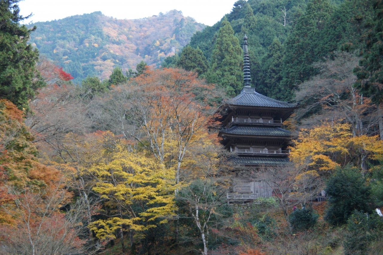 関西花の寺めぐり ９ １１月 奈良市 奈良県 の旅行記 ブログ By Naniwa Ladyさん フォートラベル