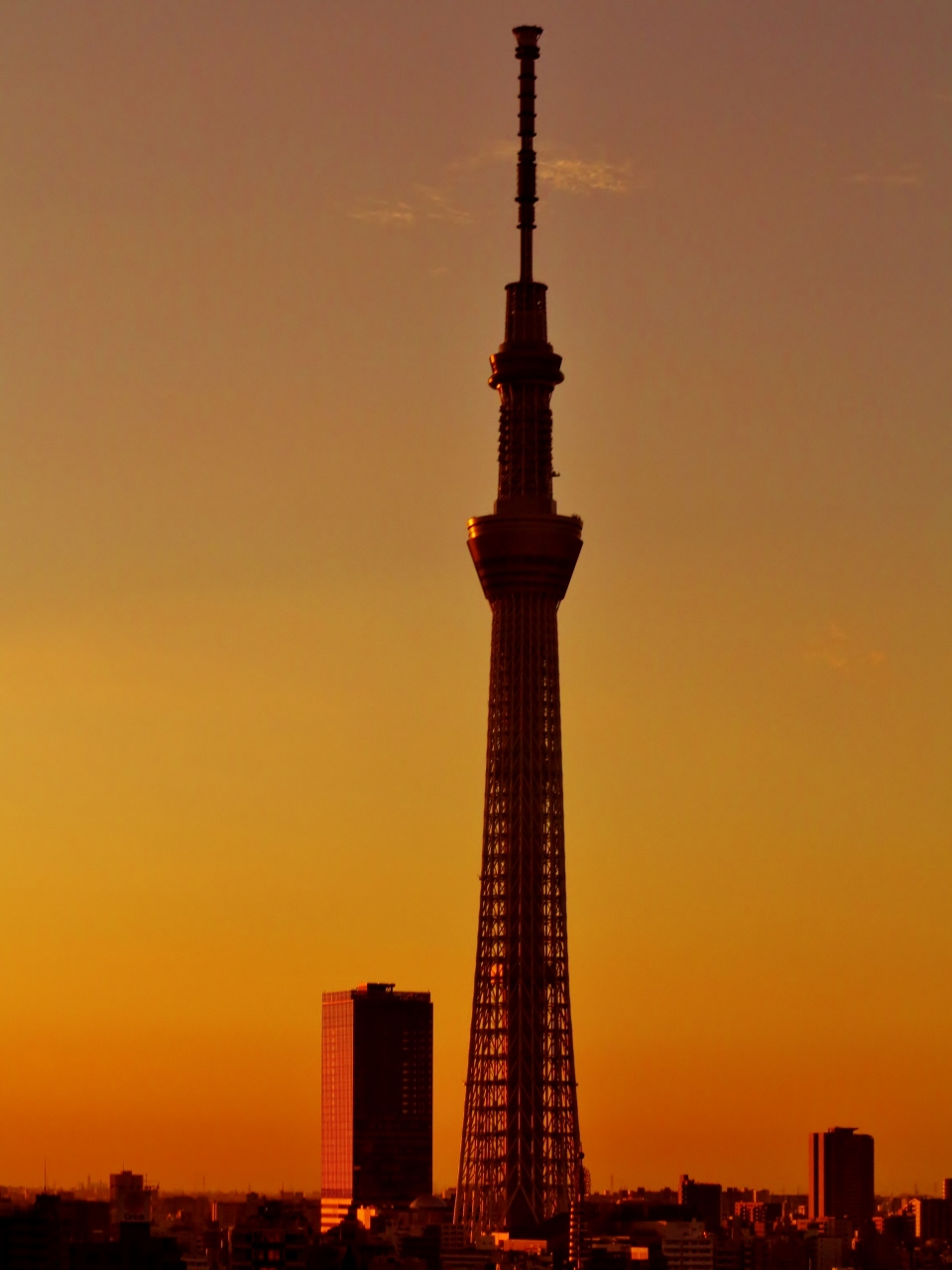 荘厳 朝日 東京スカイツリー方面に昇る 浅草ビューホテル 1418r 浅草 東京 の旅行記 ブログ By マキタン２さん フォートラベル