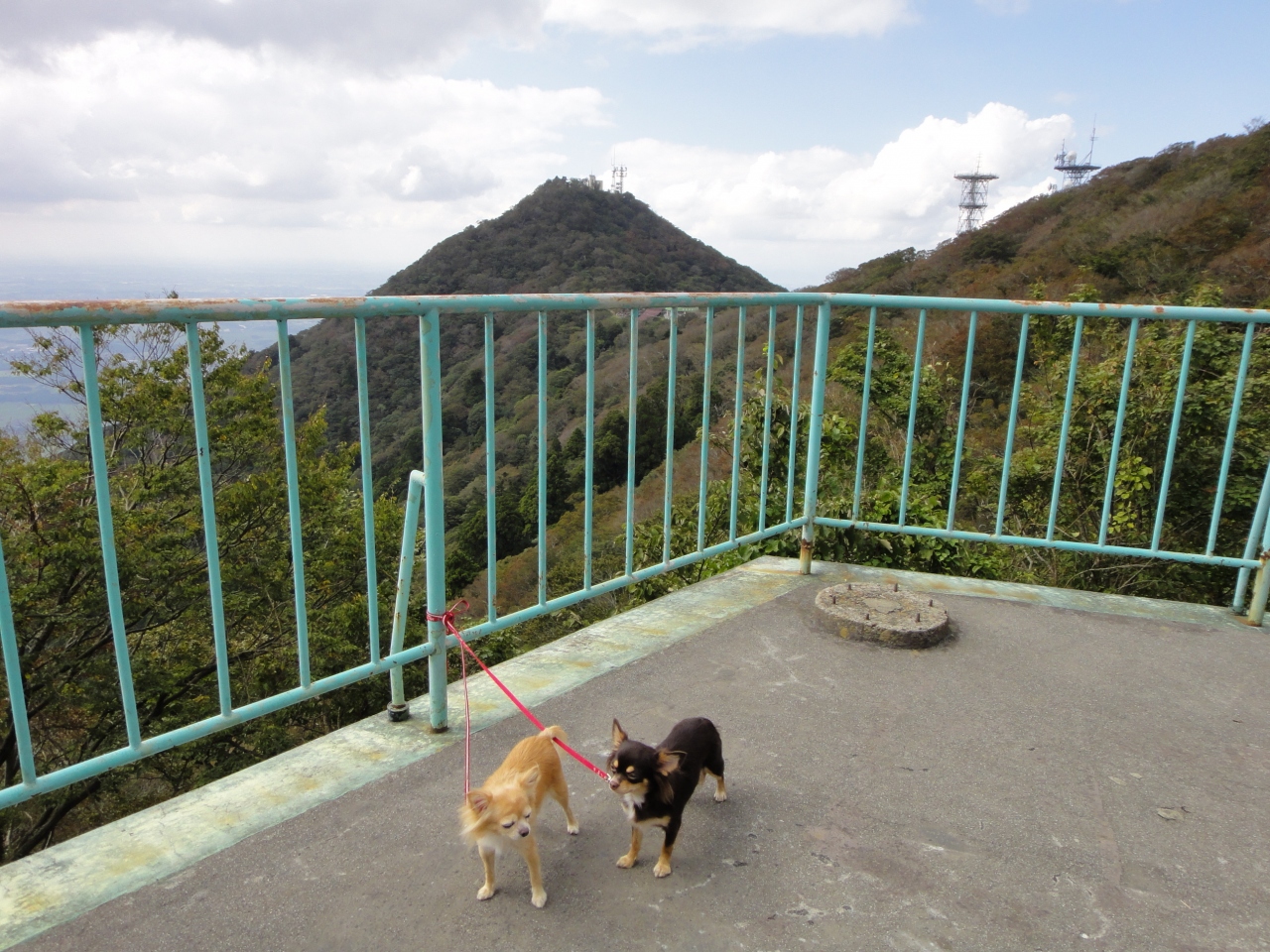 犬と一緒に筑波山へ 筑波山周辺 茨城県 の旅行記 ブログ By 久太郎さん フォートラベル