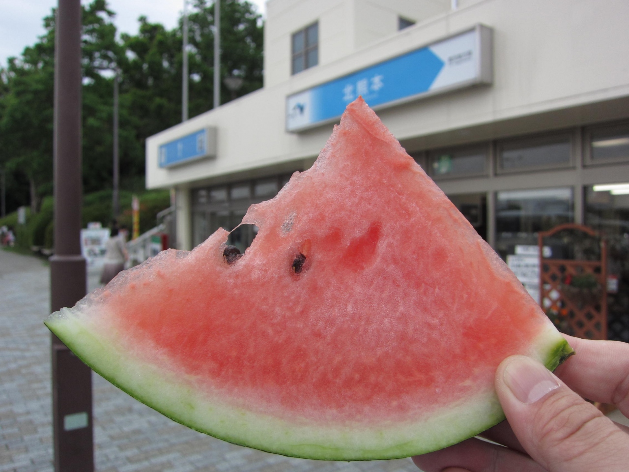 12年6月熊本ｐａｒｔ１ 水曜どうでしょう 対決列島 九州大会 の地へ 熊本市 熊本県 の旅行記 ブログ By Tsuneさん フォートラベル