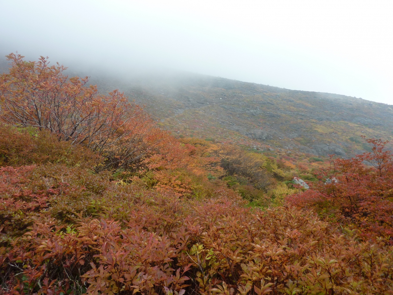 紅葉ピークの那須岳登山は強風の中 那須 栃木県 の旅行記 ブログ By ひゅうひゅうさん フォートラベル 紅葉ピークの那須岳登山は強風の中 那須 栃木県 の旅行記 ブログ By ひゅうひゅうさん フォートラベル