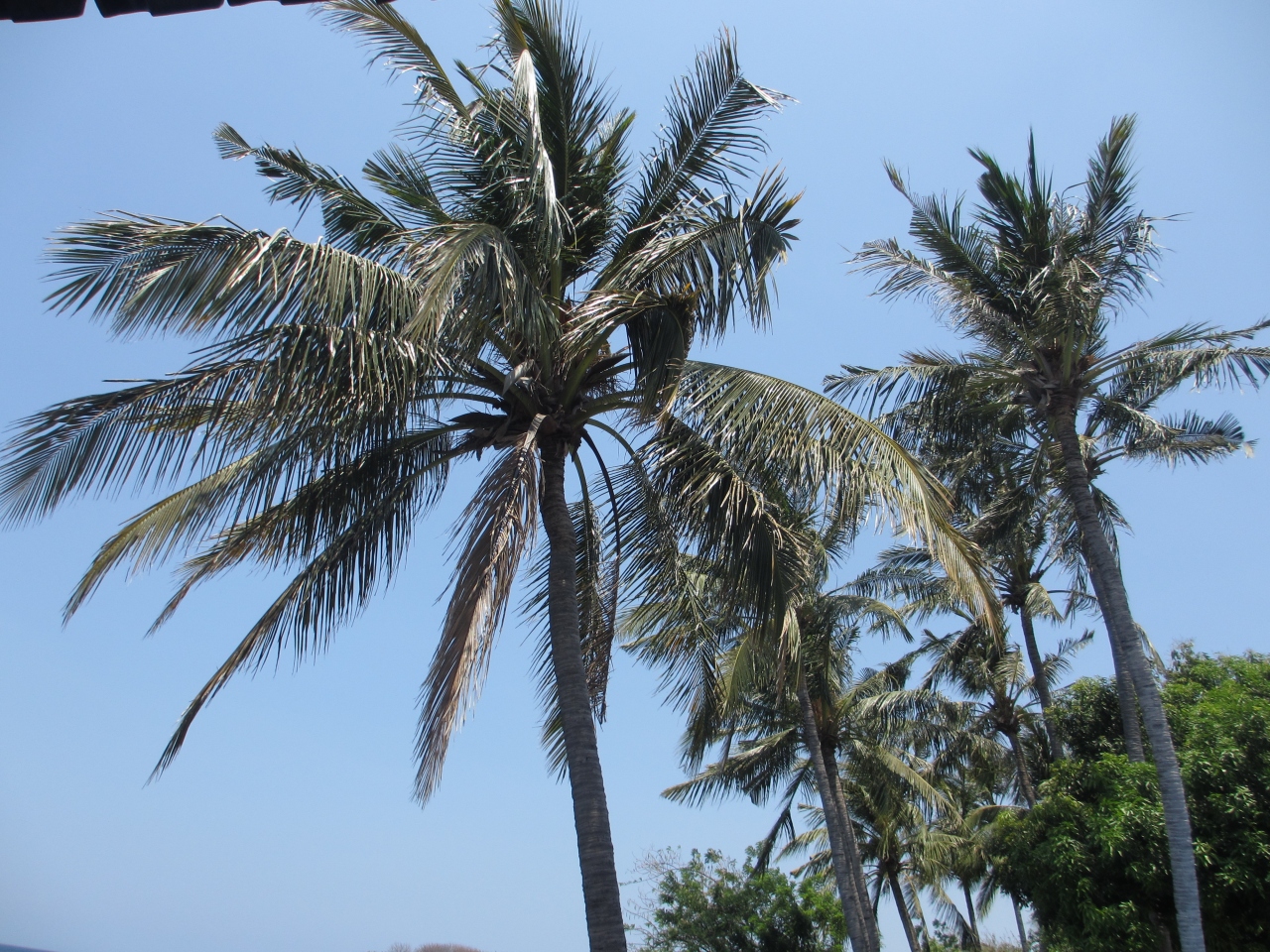バリ島 アップ忘れたその他の写真 ホテル等 バリ島 インドネシア の旅行記 ブログ By Charlielongさん フォートラベル