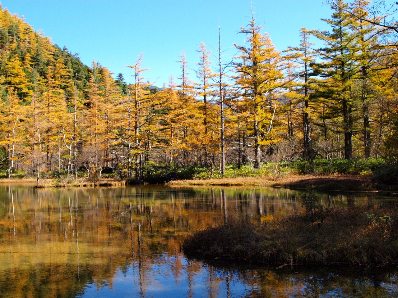 信州 秋の1人旅 後半 紅葉の上高地を歩く 上高地 長野県 の旅行記 ブログ By あんこう鍋さん フォートラベル 信州 秋の1人旅 後半 紅葉の上高地を歩く 上高地 長野県 の旅行記 ブログ By あんこう鍋さん フォートラベル