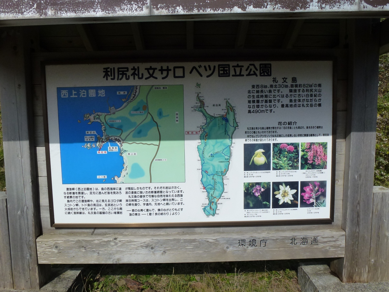 澄海岬 2日目 礼文島その5 礼文島 北海道 の旅行記 ブログ By Konetさん フォートラベル 澄海岬 2日目 礼文島その5 礼文島 北海道 の旅行記 ブログ By Konetさん フォートラベル