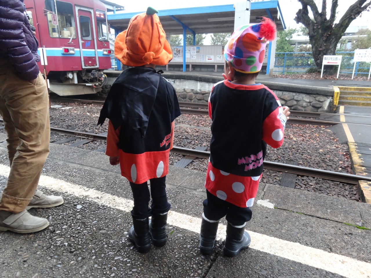 Trick Or Treat Rain で行く お菓子なおかしなハロウィンの旅 美濃市 岐阜県 の旅行記 ブログ By さや犬さん フォートラベル