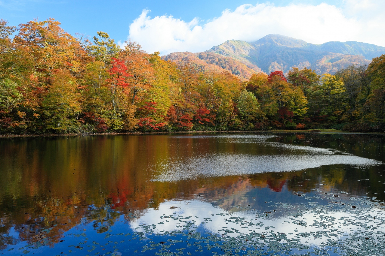 刈込池の紅葉 2012年 福井県の旅行記 ブログ By はーちゃん Stay Homeさん フォートラベル 刈込池の紅葉 2012年 福井県の旅行記 ブログ By はーちゃん Stay Homeさん フォートラベル