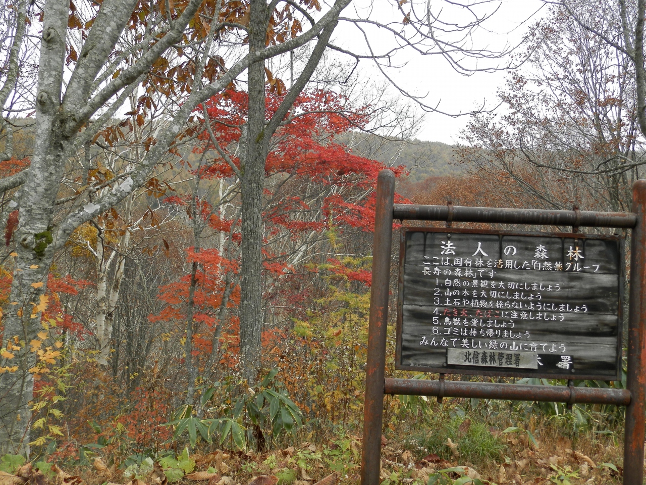 野沢温泉側から スーパー林道へ 木島平 長野県 の旅行記 ブログ By 阿蘇美忍さん フォートラベル 野沢温泉側から スーパー林道へ 木島平 長野県 の旅行記 ブログ By 阿蘇美忍さん フォートラベル