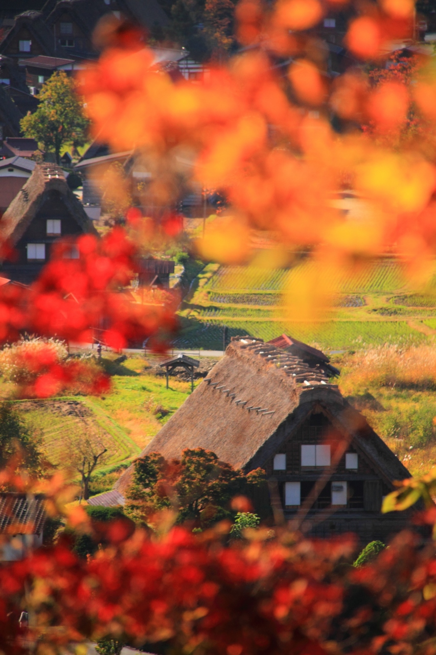 岐阜 秋の白川郷 白川郷 岐阜県 の旅行記 ブログ By ふーさん フォートラベル