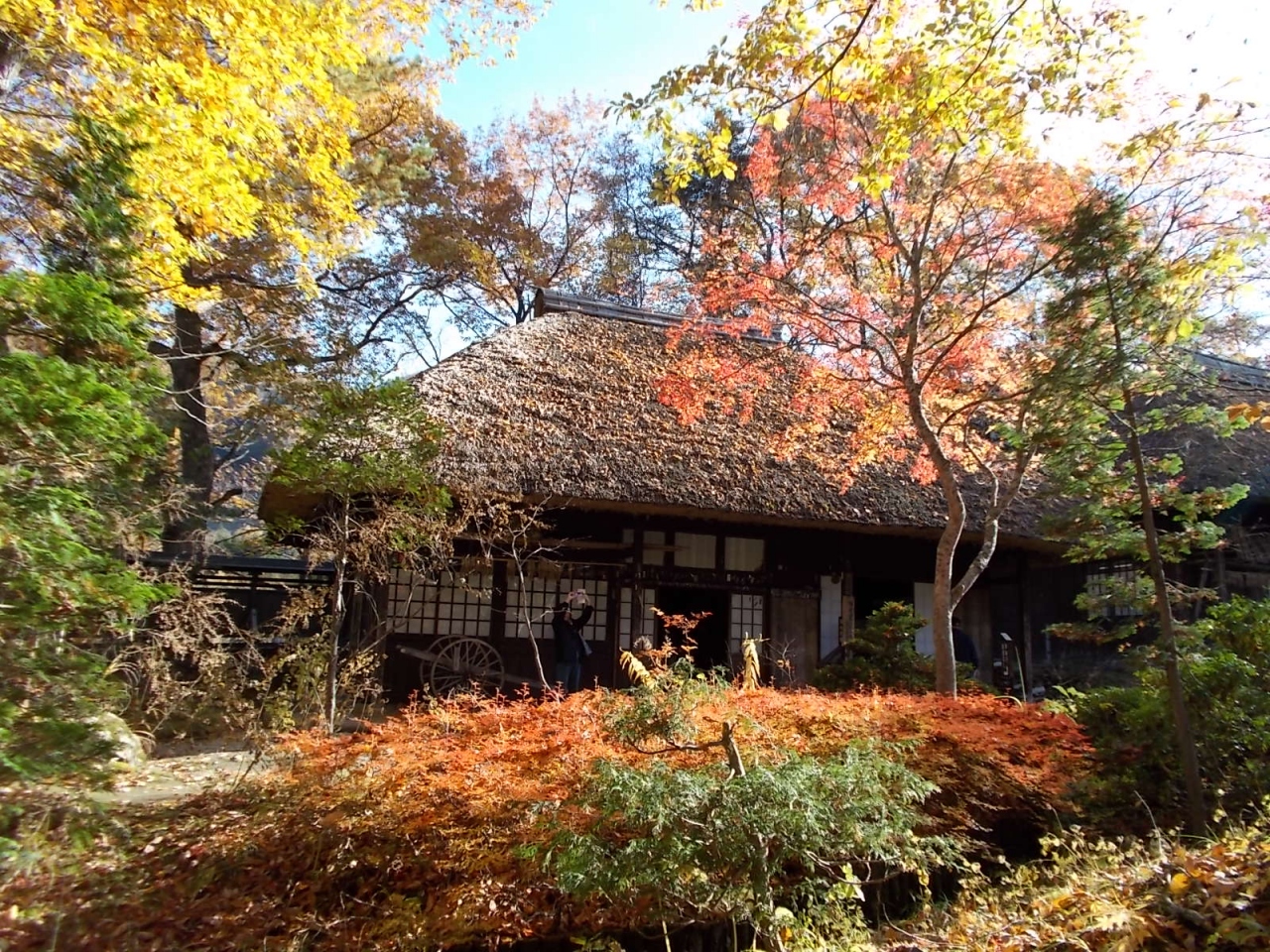 本日は 晴天なり 紅葉の湯西川散歩 湯西川温泉 栃木県 の旅行記 ブログ By アライグマの湯さん フォートラベル
