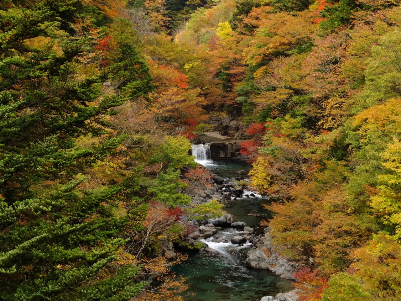 12秋 紅葉と清流に癒される 岐阜 付知峡 これから見ごろ 間に合いますよっ 中津川 岐阜県 の旅行記 ブログ By Savexさん フォートラベル