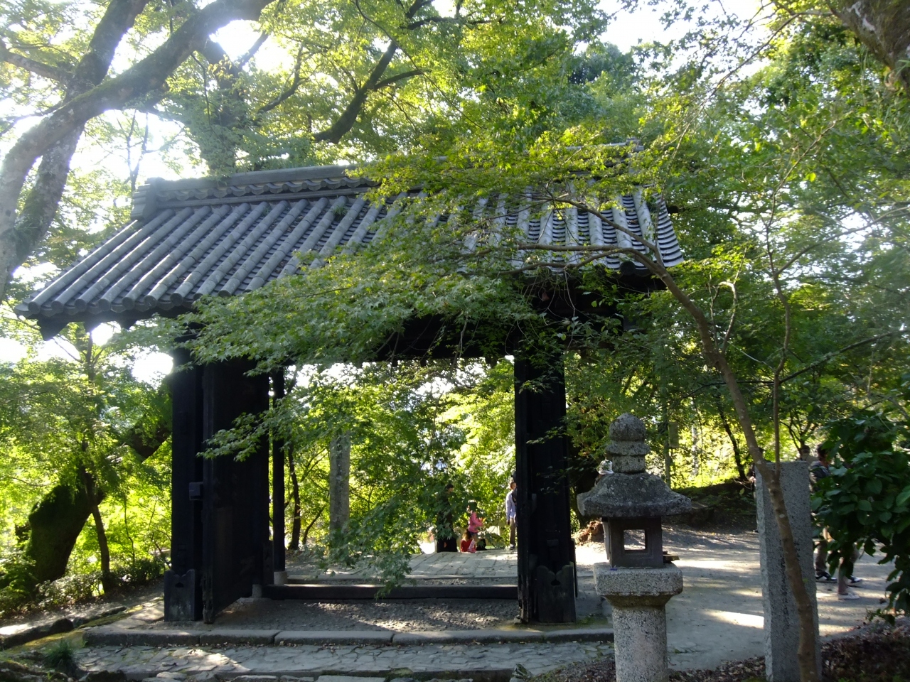 秋月紅葉開き・秋月城跡の紅葉と美しい自然と史跡を求めて 人気の観光地へ