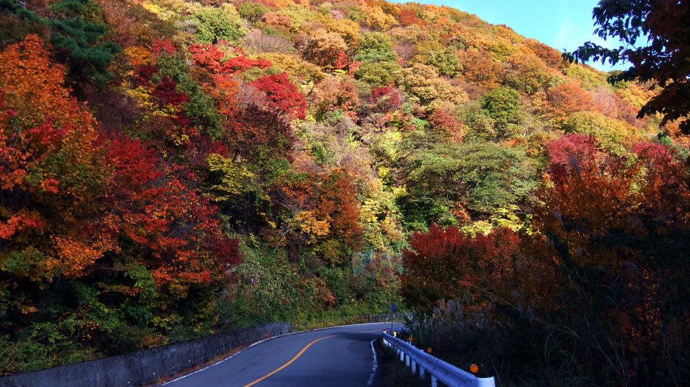 伊吹山 紅葉 長浜 滋賀県 の旅行記 ブログ By Akkiyさん フォートラベル