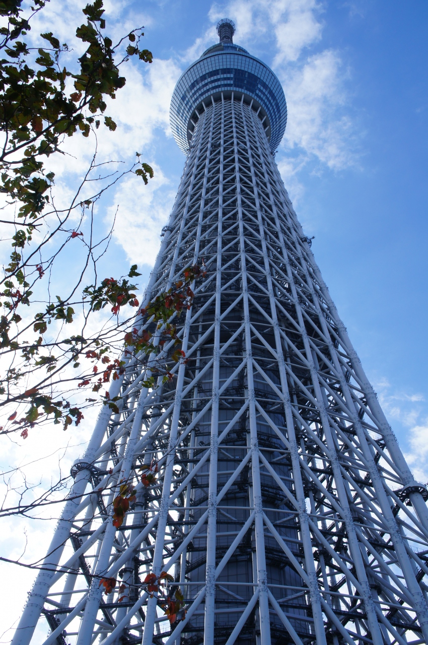 お誕生日イベント1 ついにのぼったスカイツリー 浅草 東京 の旅行記 ブログ By るるるさん フォートラベル