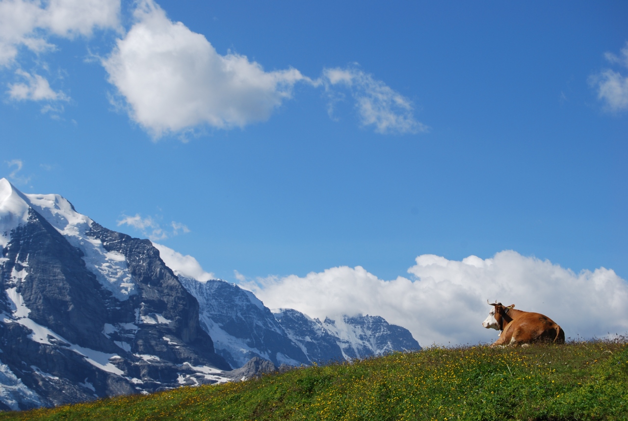山と湖とビールをめぐる旅１１ メンリッヘン メンリッヒェン周辺 スイス の旅行記 ブログ By ぴぽぴぽぴっぽさん フォートラベル