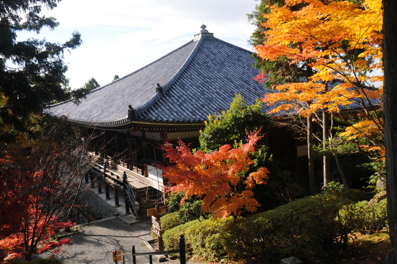 播州清水寺 西国第二十五番霊場 丹波篠山 兵庫県 の旅行記 ブログ By ナビゲーターmさん フォートラベル