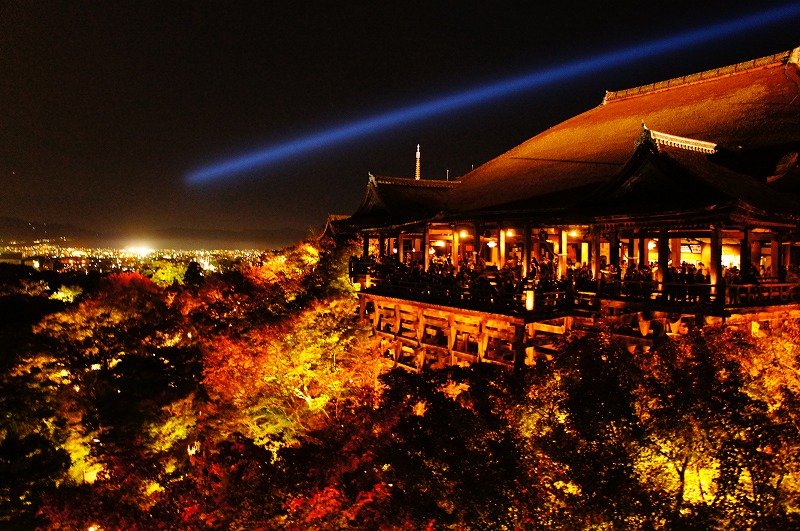 ２０１２年秋 京都の紅葉ライトアップを見学してきました ついでに京都市動物園も 東山 祇園 北白川 京都 の旅行記 ブログ By さるひこさん フォートラベル