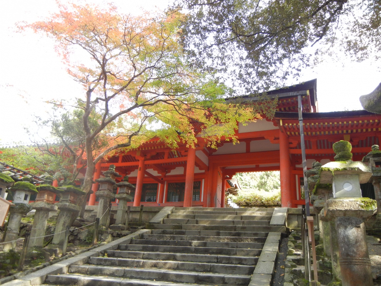 秋の良き日に 春日大社での挙式 奈良ホテルでの披露宴に出席 奈良市 奈良県 の旅行記 ブログ By Yasakiさん フォートラベル