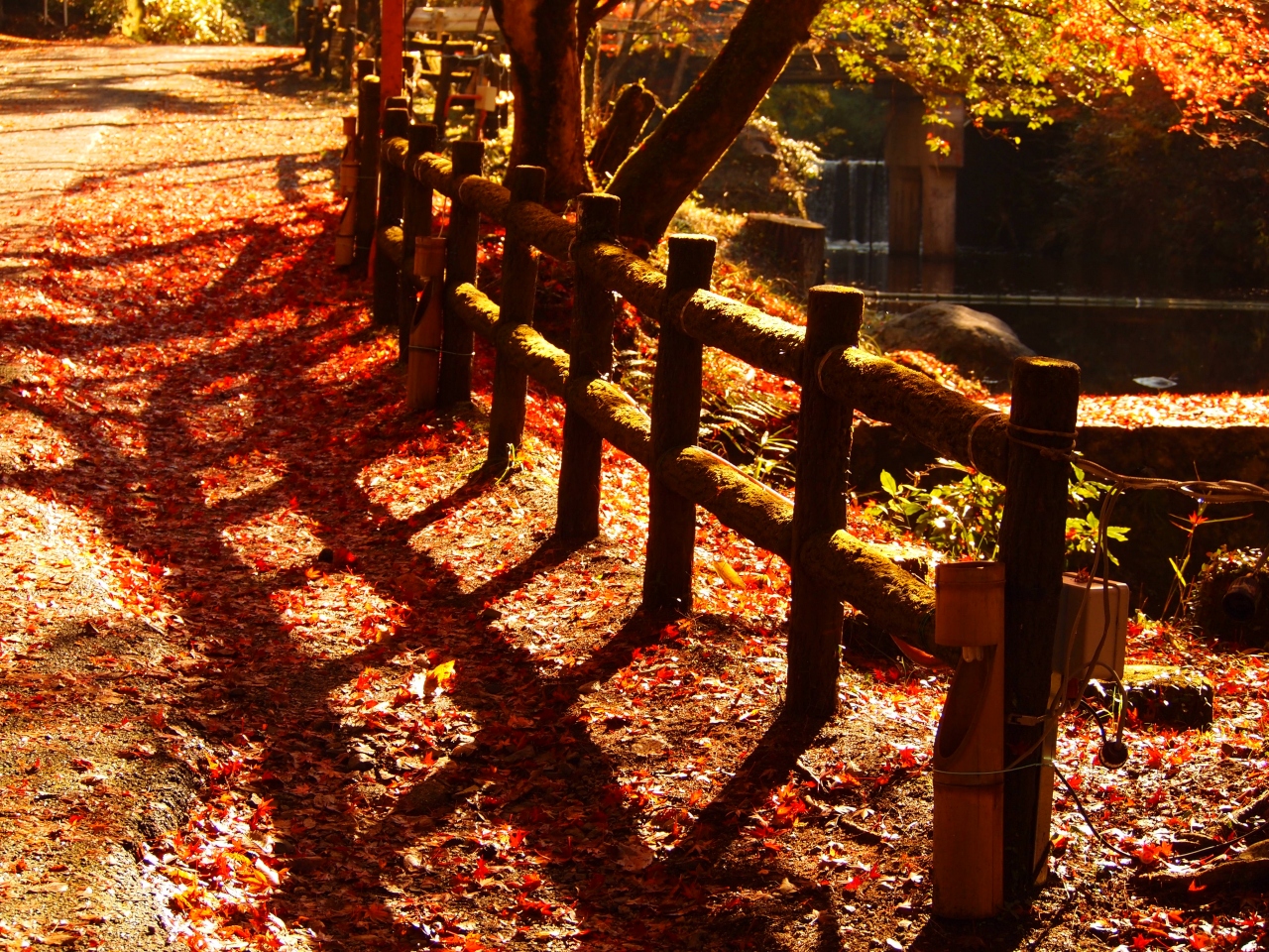 紅葉へ行こうよォ 瀬戸 岩屋堂公園 12 11 18 瀬戸 愛知県 の旅行記 ブログ By ぽちこさん フォートラベル 紅葉へ行こうよォ 瀬戸 岩屋堂公園 12 11 18 瀬戸 愛知県 の旅行記 ブログ By ぽちこさん フォートラベル