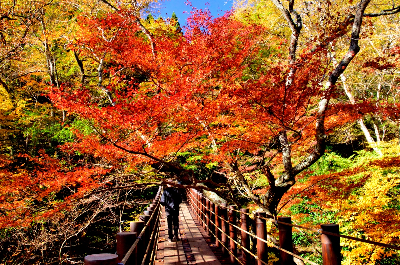 12年紅葉絶景スポット巡り ９ 花貫渓谷 竜神峡編 高萩 茨城県 の旅行記 ブログ By 玄白さん フォートラベル