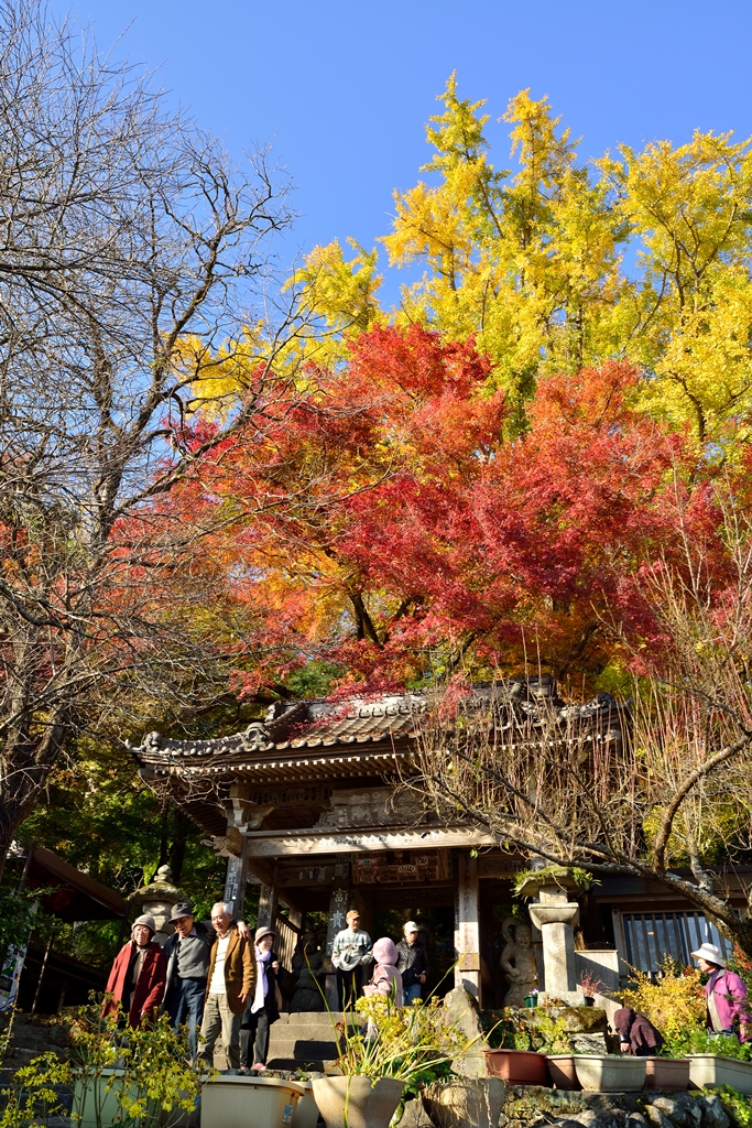 富貴寺の紅葉 宇佐 豊後高田 大分県 の旅行記 ブログ By 気まぐれなデジカメ館さん フォートラベル