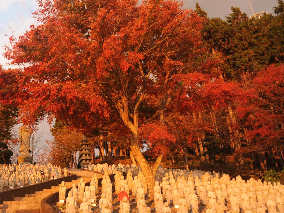 時の栖 2012 11 19 紅葉編 御殿場 静岡県 の旅行記 ブログ By てんとう虫さん フォートラベル 時の栖 2012 11 19 紅葉編 御殿場 静岡県 の旅行記 ブログ By てんとう虫さん フォートラベル