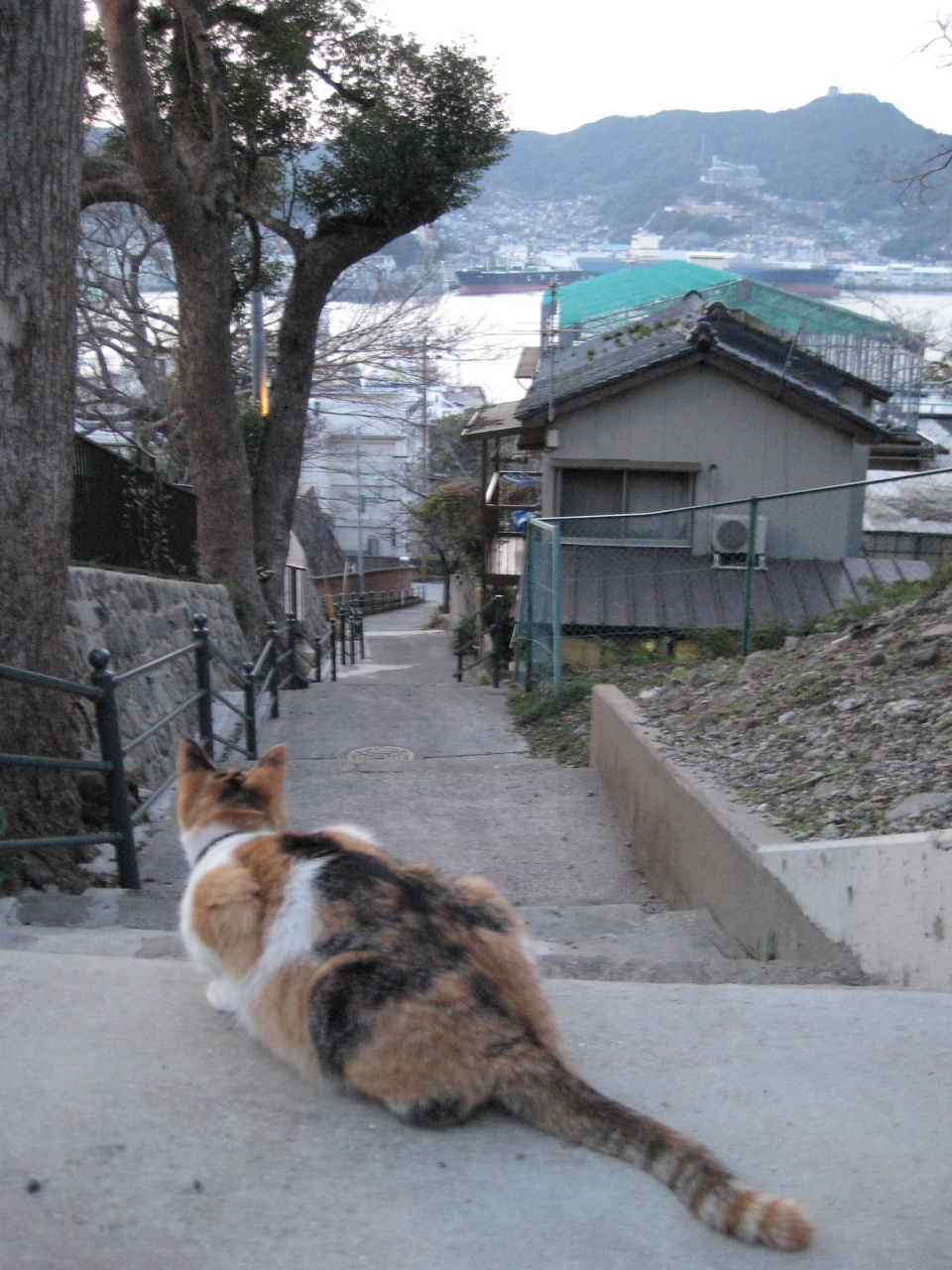 長崎 さかみち散歩 長崎県の旅行記 ブログ By Tokotokoさん フォートラベル